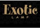 Exotic Lamp